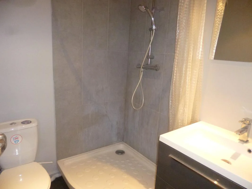 Appartement 1 pièce à louer à Villeurbanne (69100) - photo 4