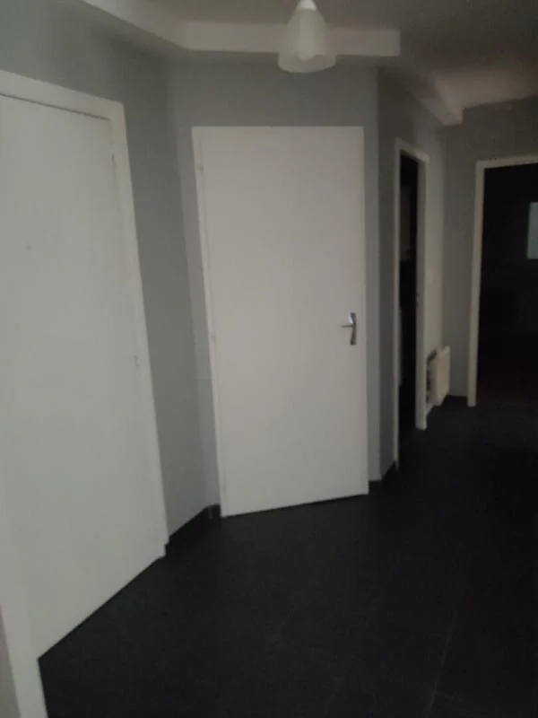 Appartement 3 pièces à louer à Valserhône (01200) - photo 3