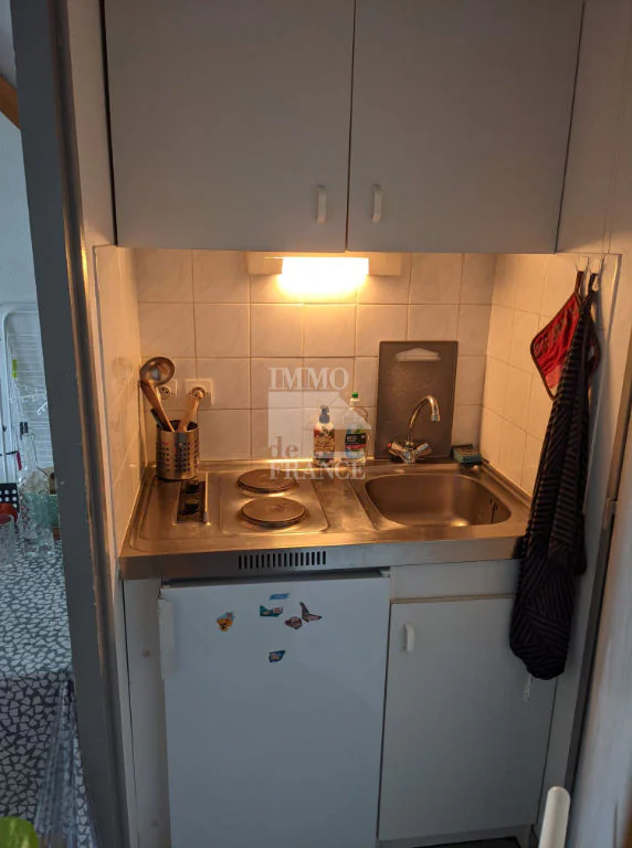 Appartement 1 pièce à louer à Angers (49000) - photo 3