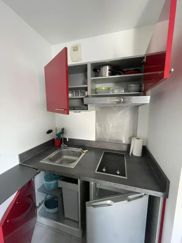 Appartement 1 pièce à louer à Oullins-Pierre-Bénite (69310) - photo 3