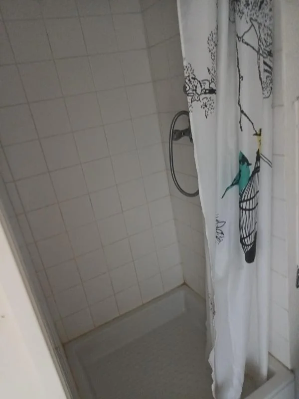 Appartement 1 pièce à louer à Lyon (69008) - photo 3