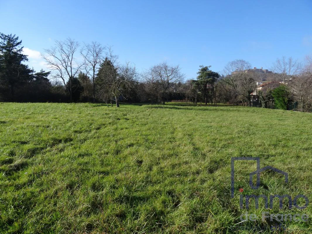 Terrain à vendre à Marcilly-le-Châtel (42130) - photo 2