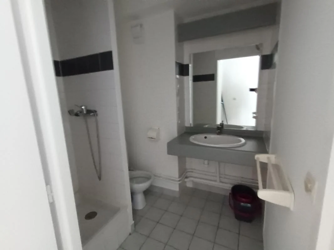 Appartement 1 pièce à louer à Lyon (69007) - photo 3