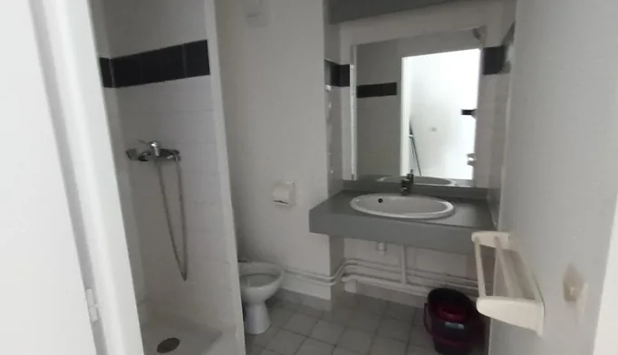 Appartement 1 pièce à louer à Lyon (69007) - photo 3