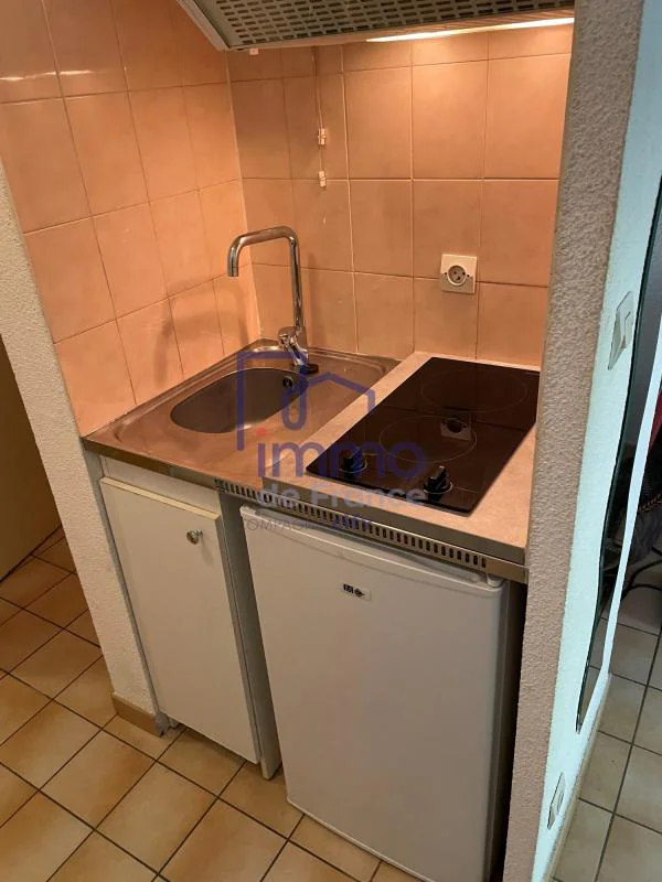 Appartement 1 pièce à vendre à Grenoble (38000) - photo 3