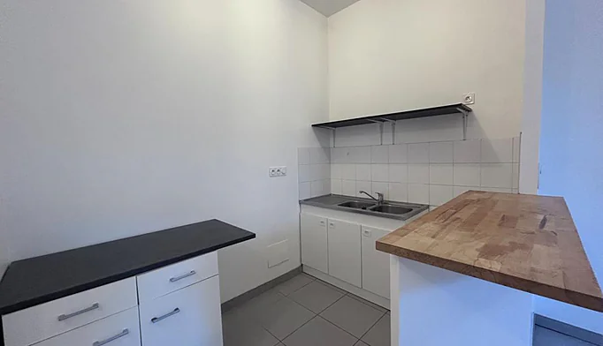 Appartement 2 pièces à louer à Lyon (69007) - photo 2