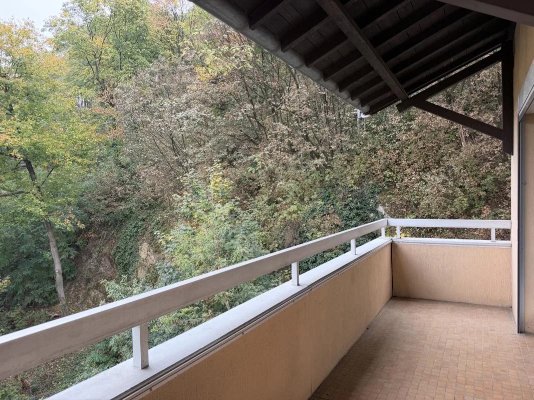 Appartement 2 pièces à louer à Lyon (69004) - photo 3