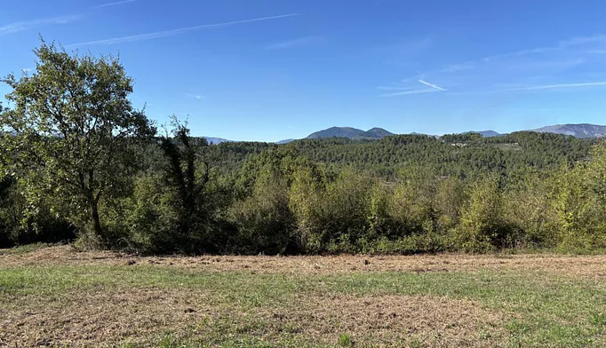 Terrain à vendre à Saint-Julien-du-Serre (07200) - photo 2