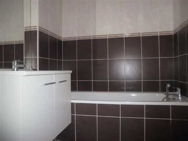 Appartement 3 pièces à louer à Villeurbanne (69100) - photo 4