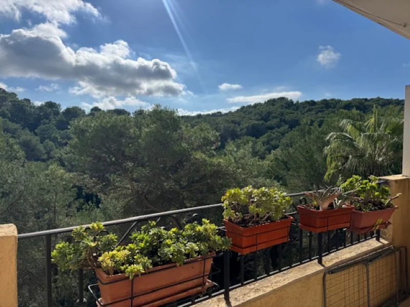 Appartement 2 pièces à louer à Mougins (06250) - photo 2