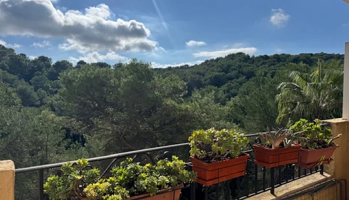 Appartement 2 pièces à louer à Mougins (06250) - photo 2
