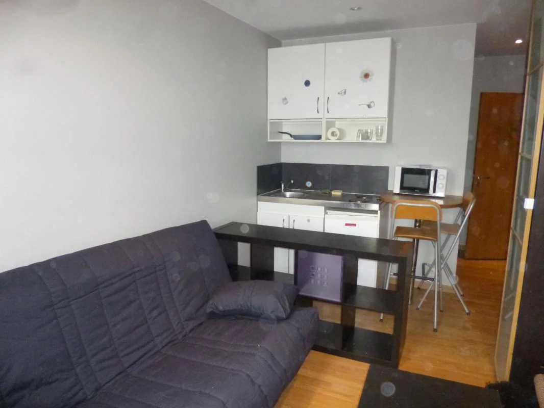 Appartement 1 pièce à louer à Villeurbanne (69100) - photo 3