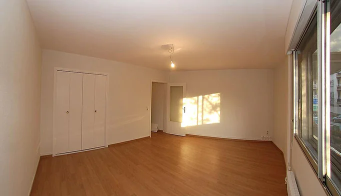 Appartement 1 pièce à louer à Clermont-Ferrand (63000) - photo 2