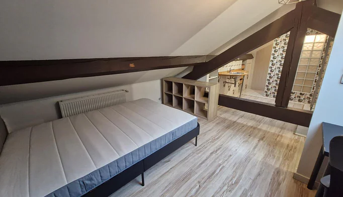Appartement 1 pièce à louer à Lyon (69008) - photo 2
