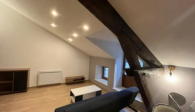 Appartement 1 pièce à louer à Épinal (88000) - photo 3
