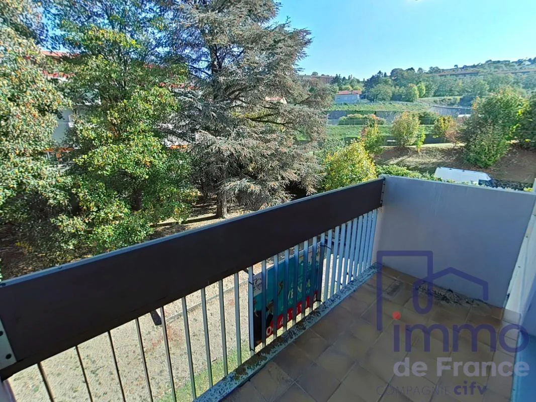 Appartement 3 pièces à vendre au Puy-en-Velay (43000) - photo 3