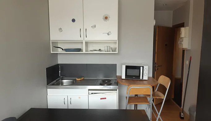 Appartement 1 pièce à louer à Villeurbanne (69100) - photo 1