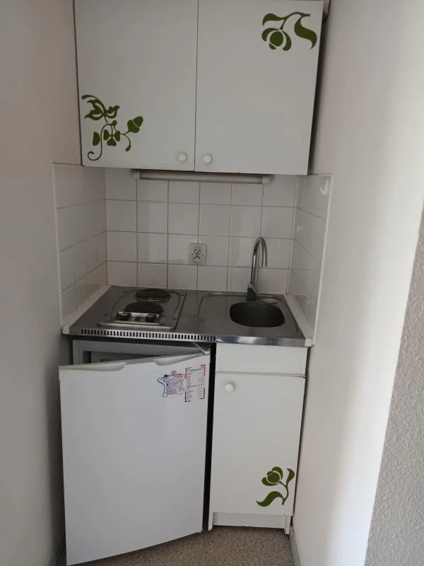 Appartement 1 pièce à louer à Lyon (69008) - photo 2