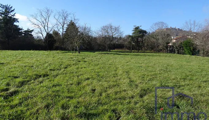 Terrain à vendre à Montbrison (42600) - photo 1