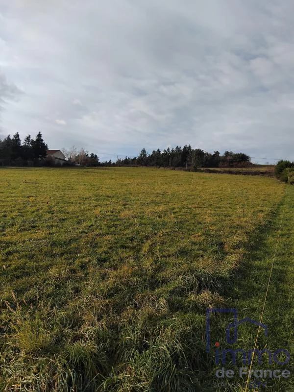 Terrain à vendre à Montbrison (42600) - photo 4