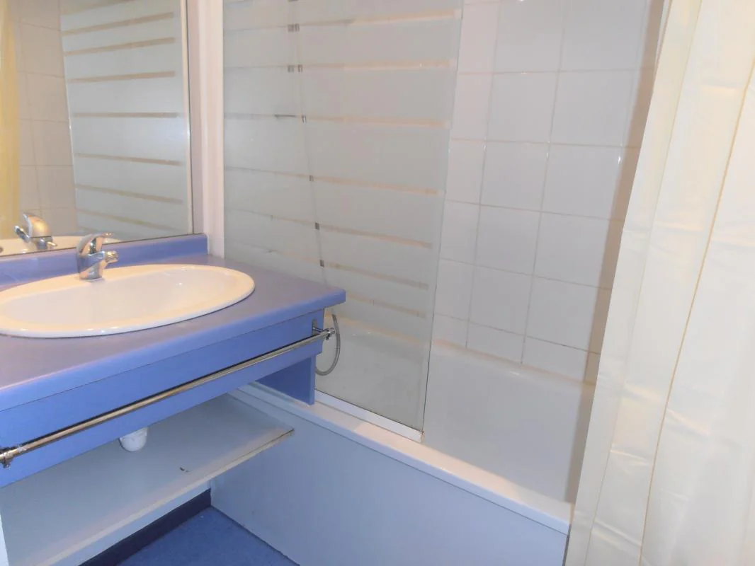 Appartement 1 pièce à louer à Lyon (69007) - photo 3