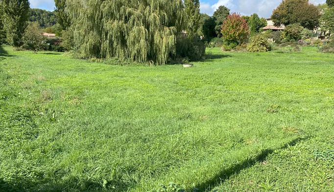 Terrain à vendre à Parnans (26750) - photo 6