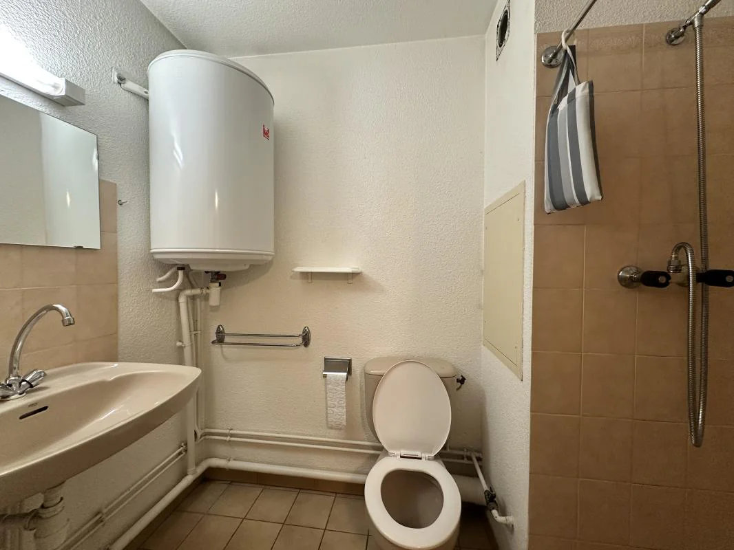 Appartement 1 pièce à louer à Grenoble (38000) - photo 4