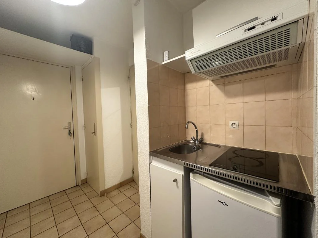Appartement 1 pièce à louer à Grenoble (38000) - photo 1