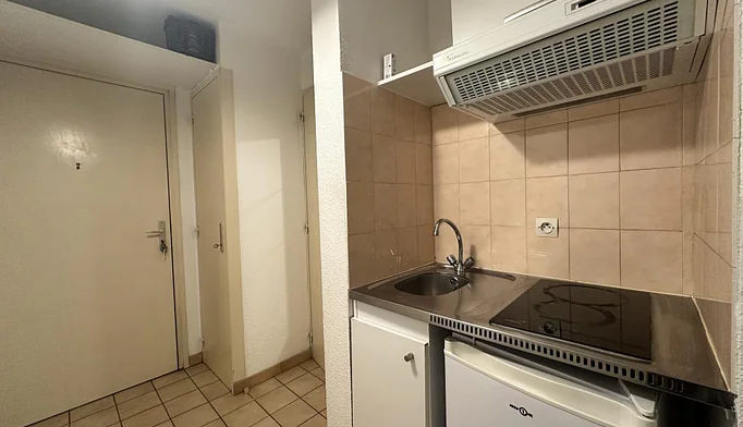 Appartement 1 pièce à louer à Grenoble (38000) - photo 1