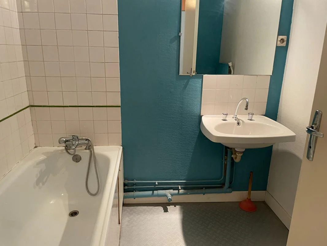 Appartement 3 pièces à louer à Villeurbanne (69100) - photo 5